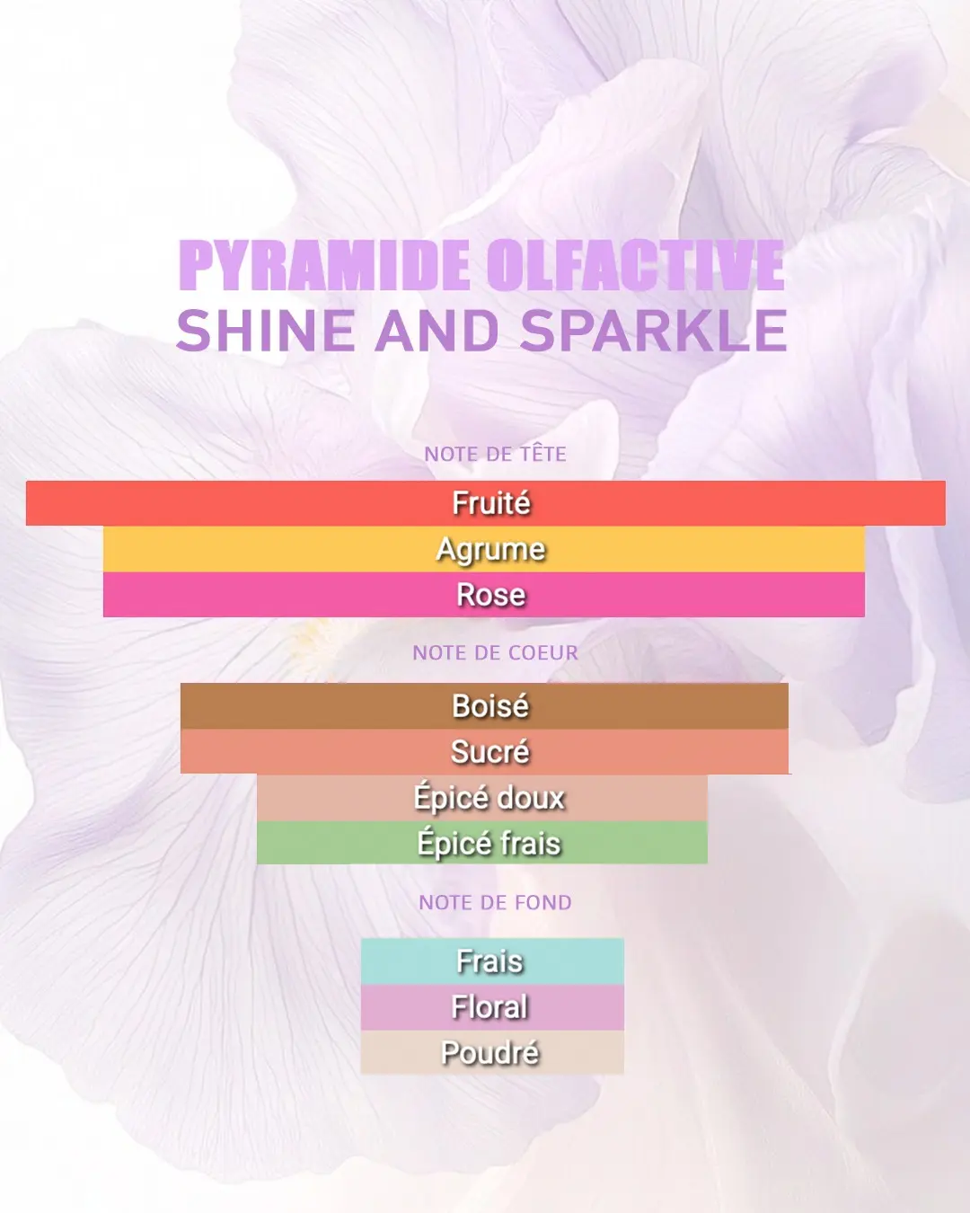 brume-rimita-shine-and-sparkle-3