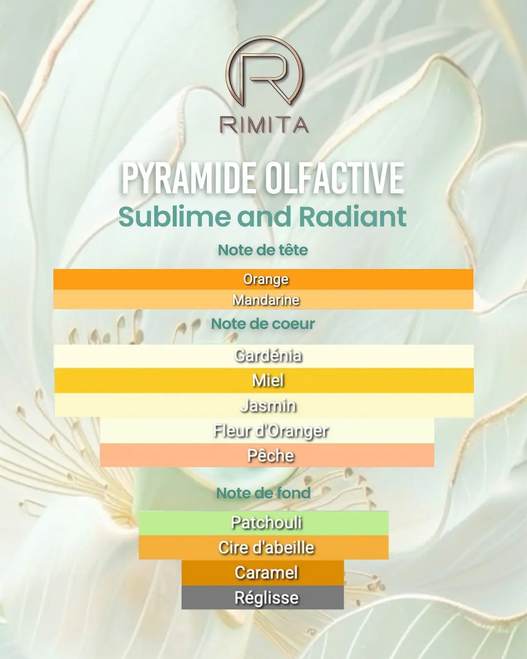 brume-rimita-sublime-and-radiant-2