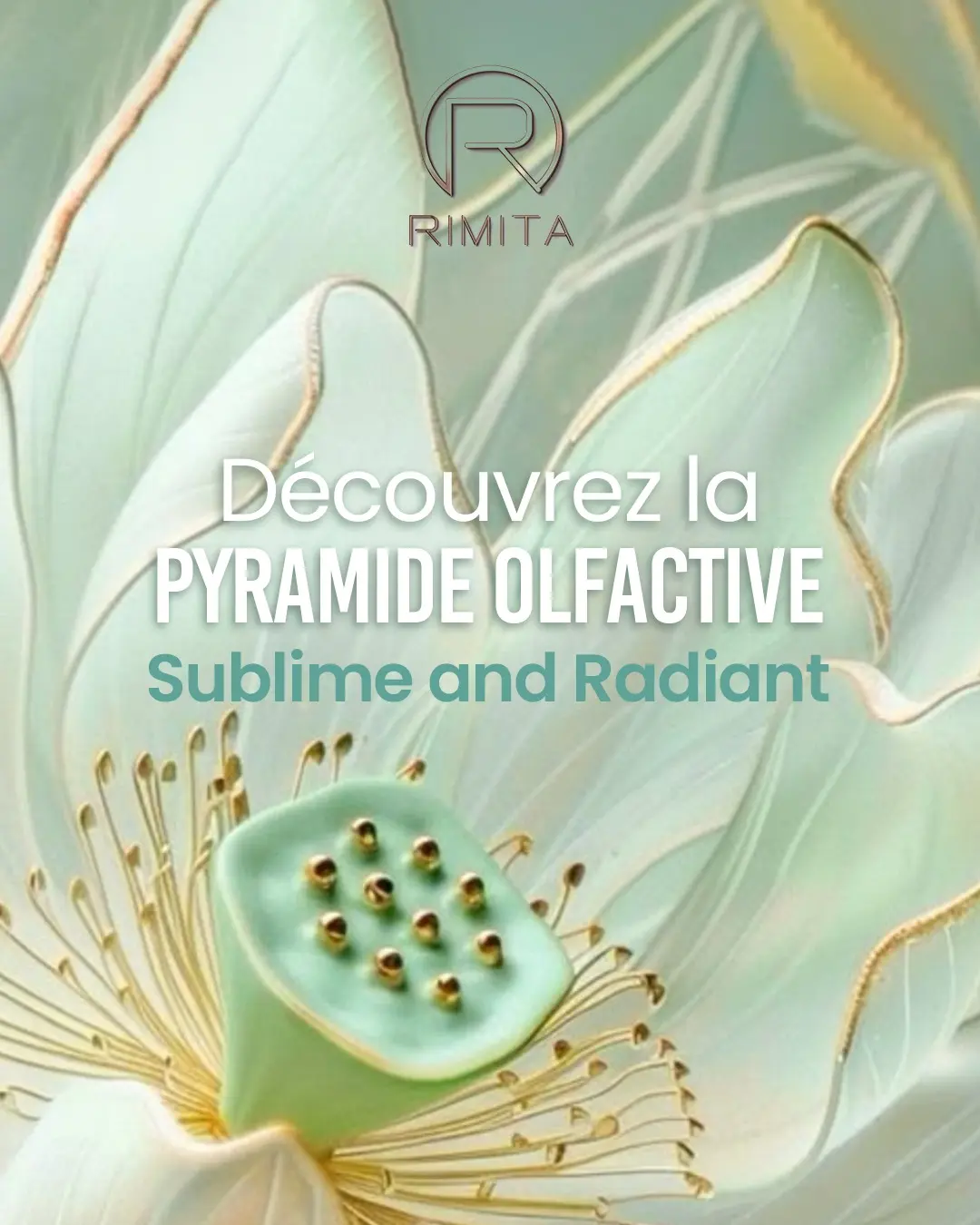 brume-rimita-sublime-and-radiant-3