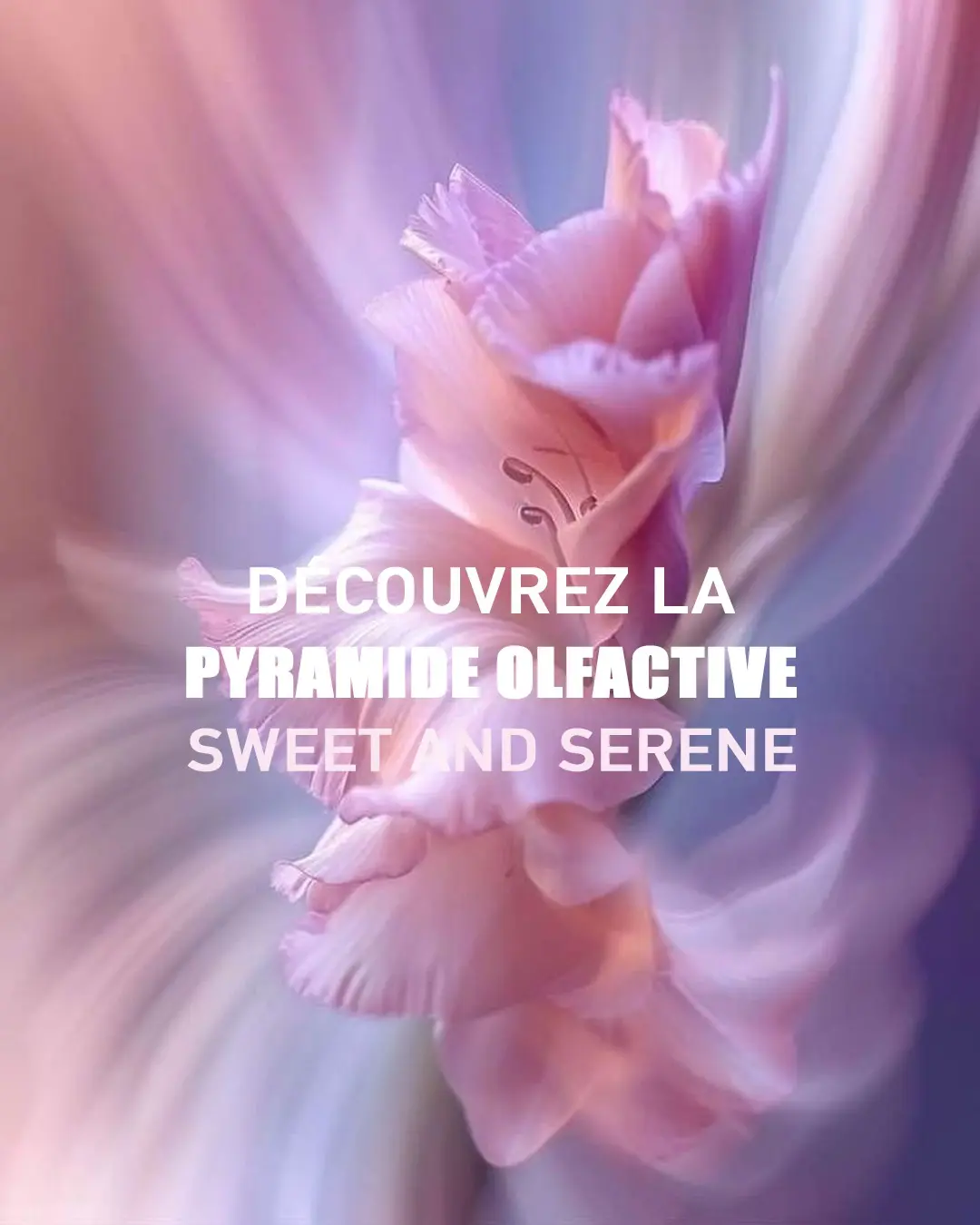 brume-rimita-sweet-and-serene-2