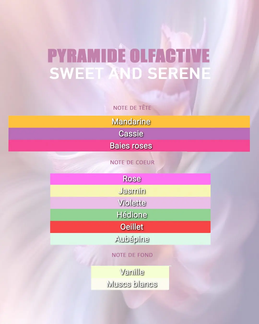 brume-rimita-sweet-and-serene -3