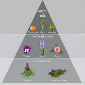 Pyramide olfactive de Whisky Silver : notes de tête mandarine, cœur floral et fond mousse de chêne patchouli.