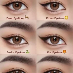 Infographie de 6 styles d'eyeliner inspirés d'animaux : Deer, Kitten, Snake, Fox, Cool Cat et Puppy Eyeliner.