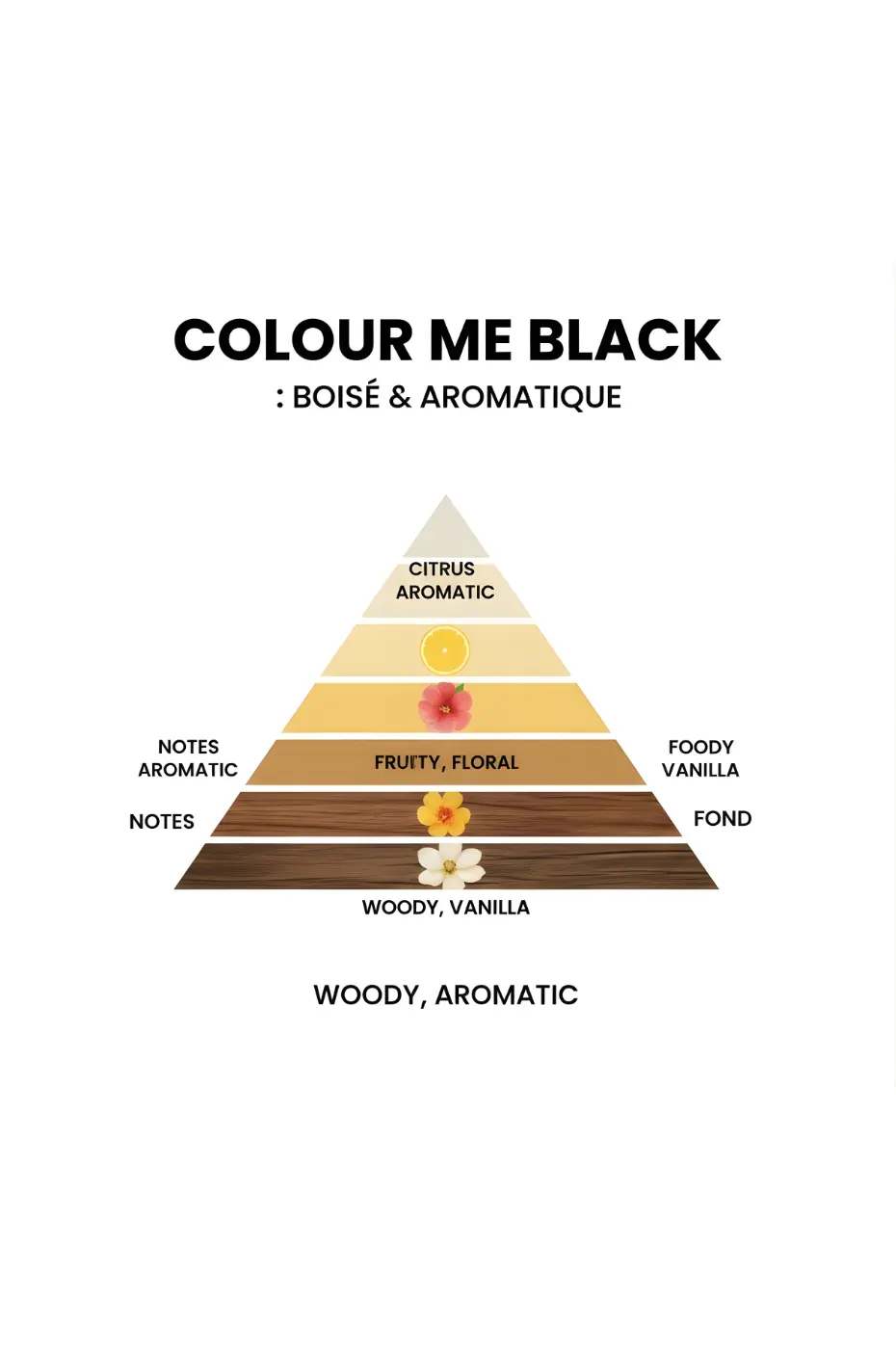 Notes Olfactives Pyramide olfactive du parfum Colour Me Black, affichant des notes de tête (Citrus, Aromatic), de cœur (Fruity, Floral) et de fond (Woody, Vanilla), ainsi que la classification Woody, Aromatic.
