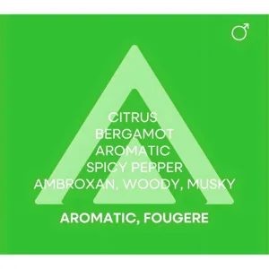 Pyramide olfactive de Colour Me Volt : agrumes, bergamote, poivre épicé, ambroxan, notes boisées, musquées et aromatiques Fougère.