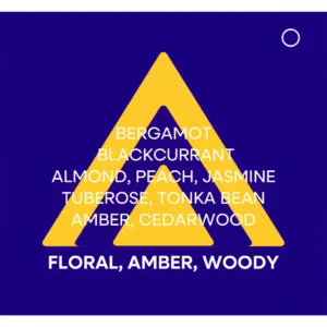 Pyramide olfactive du parfum Colour Me Indigo : notes de bergamote, jasmin, tonka, bois de cèdre et ambre.