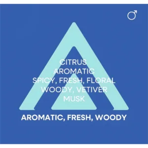 Pyramide olfactive graphique du parfum : Citrus, Aromatique, Épicé, Frais, Floral, Boisé, Vétiver, Musc.