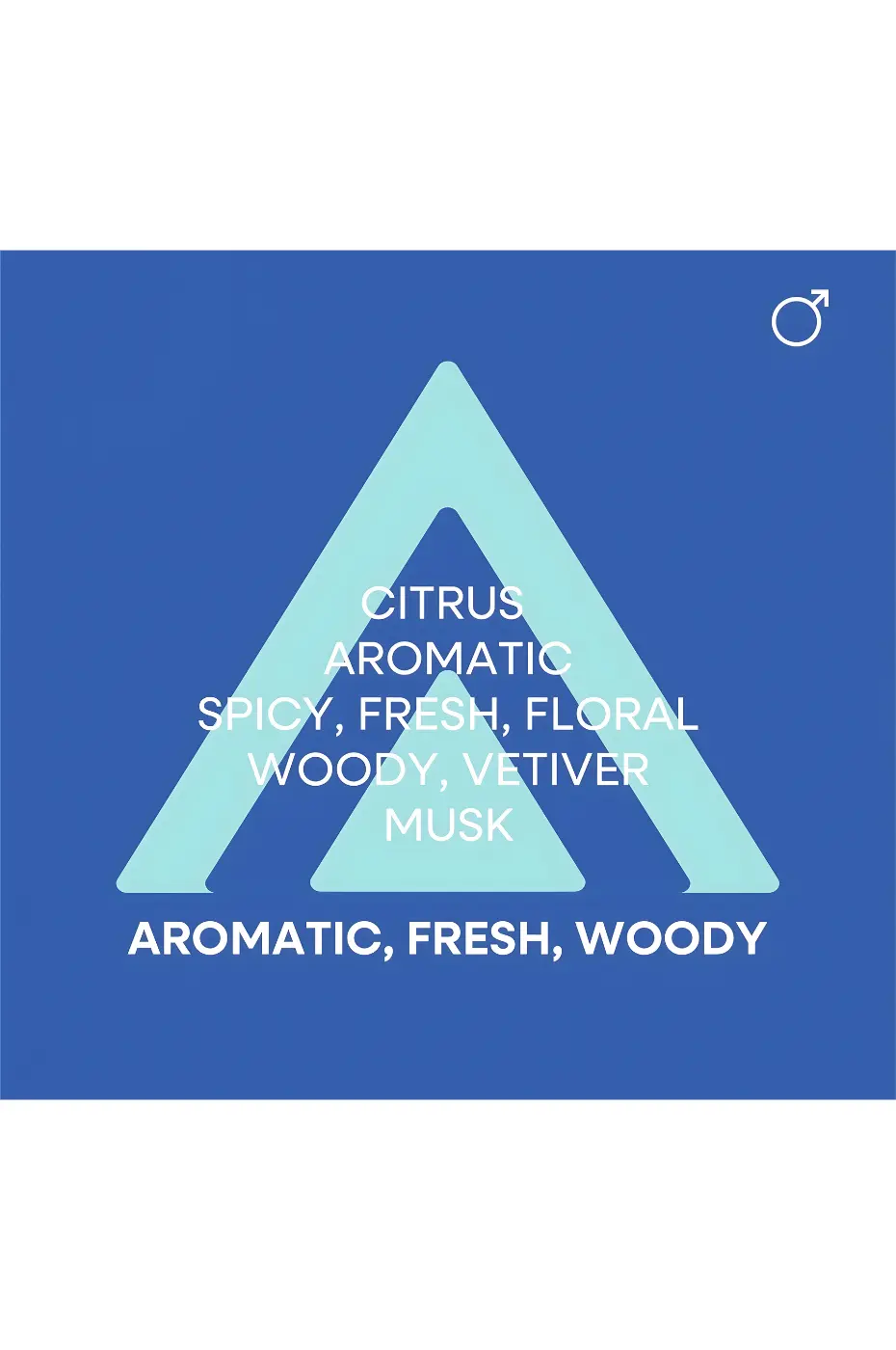 Pyramide Olfactive Pyramide olfactive graphique du parfum : Citrus, Aromatique, Épicé, Frais, Floral, Boisé, Vétiver, Musc.