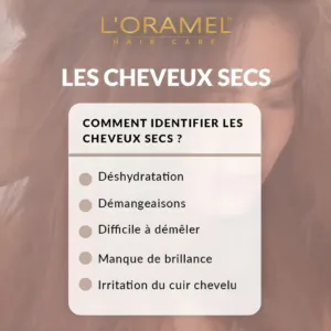 Liste L'Oramel pour identifier les cheveux secs : déshydratation, manque de brillance et nœuds difficiles à démêler.