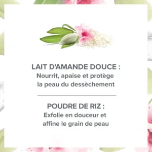 Infographie Evoluderm présentant les bienfaits du Lait d'Amande Douce et de la Poudre de Riz pour exfolier et nourrir.