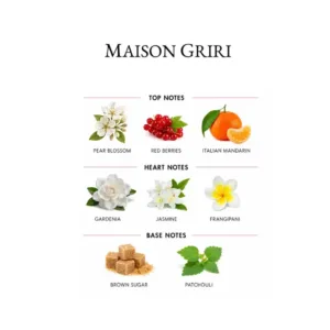 Infographie de parfum femme détaillant les notes de tête, de cœur et de fond de Maison Griri.