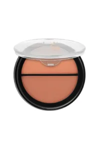 Boîtier ouvert de fard à joues compact duo Topface Instyle Twin Blush aux teintes poudrées naturelles sur fond blanc.