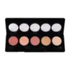 Palette de maquillage pour yeux et teint avec 5 fards professionnels et applicateurs mousses dans un boîtier noir.