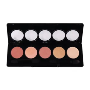 Palette de maquillage pour yeux et teint avec 5 fards professionnels et applicateurs mousses dans un boîtier noir.