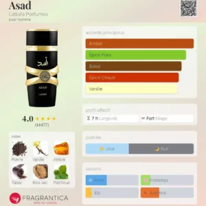 Fiche olfactive de Asad par Lattafa montrant les notes de poivre, vanille, ambre, tabac, bois sec et patchouli.