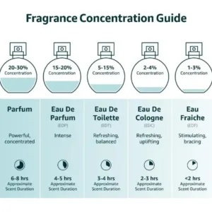 Guide sur la concentration des parfums : comparaison entre Parfum, Eau de Parfum, Eau de Toilette, Cologne et Eau Fraîche.